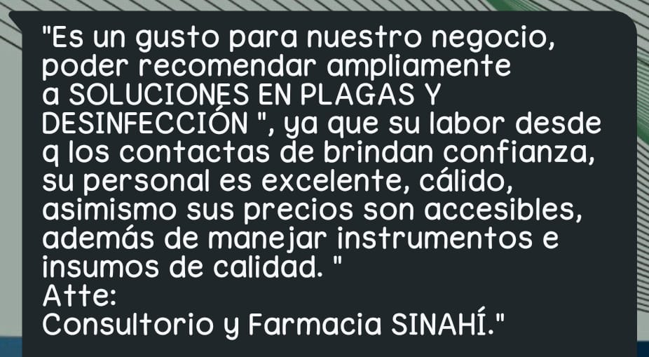 Fumigación efectiva en CDMX